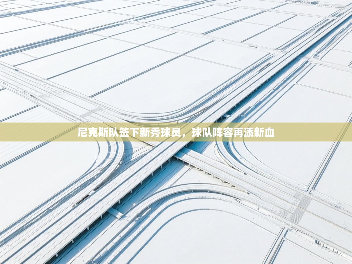 尼克斯队签下新秀球员，球队阵容再添新血  第1张