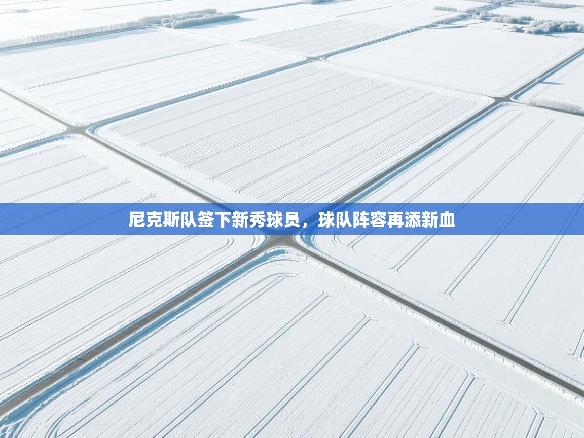 尼克斯队签下新秀球员，球队阵容再添新血  第2张