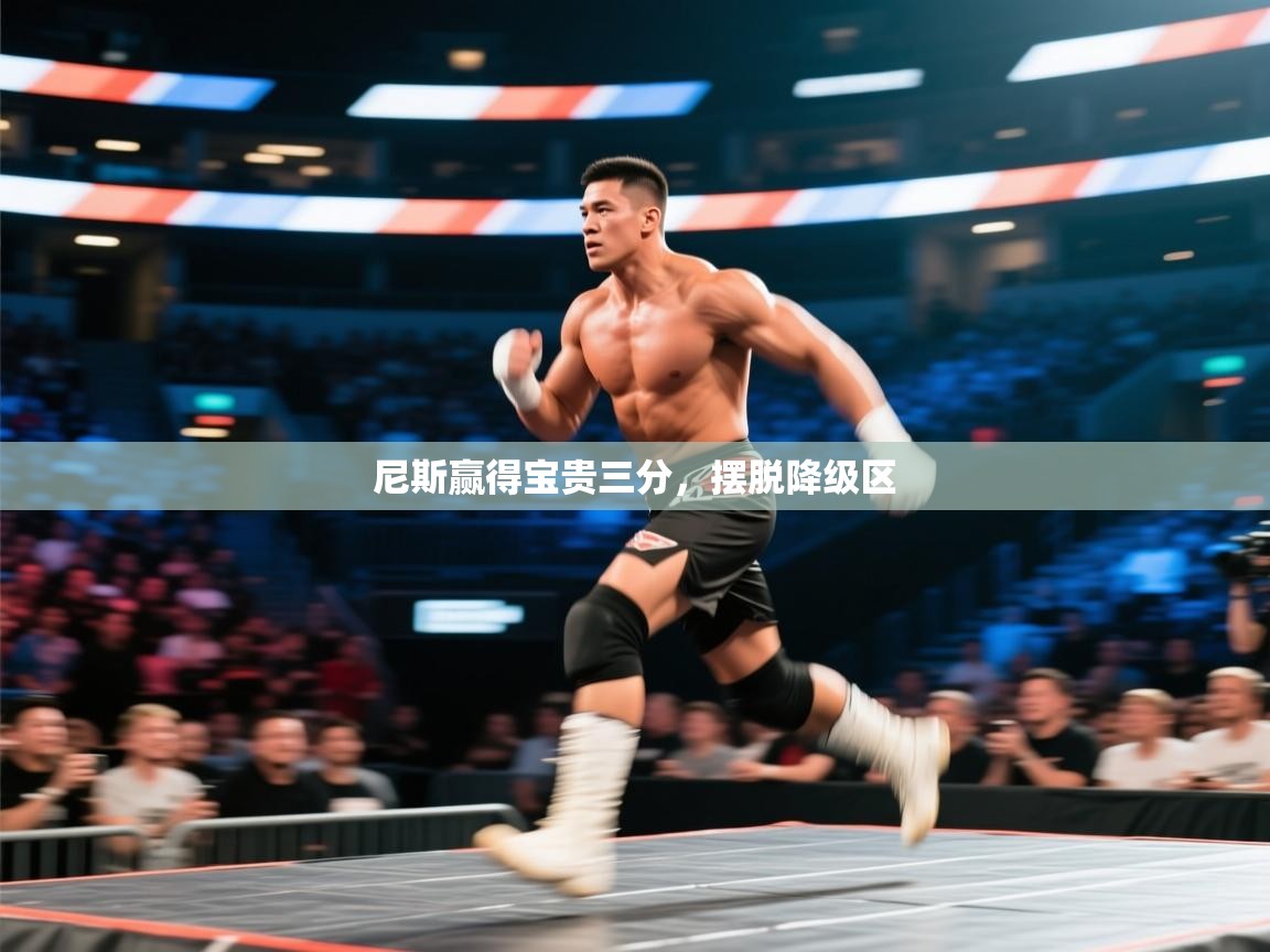 尼斯赢得宝贵三分，摆脱降级区  第1张