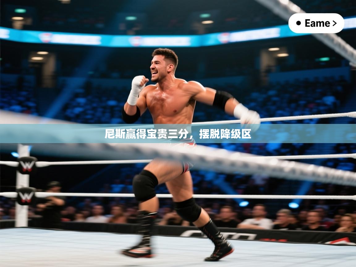 尼斯赢得宝贵三分，摆脱降级区  第2张