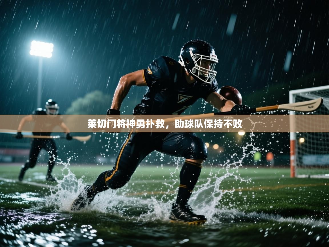 莱切门将神勇扑救，助球队保持不败  第1张