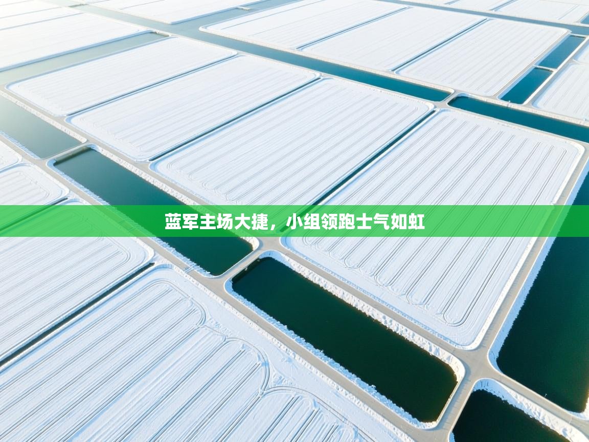 蓝军主场大捷，小组领跑士气如虹  第1张