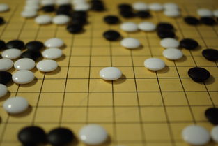 星空体育在线官网-塔斯马尼亚联防守体系升级，迎接关键战